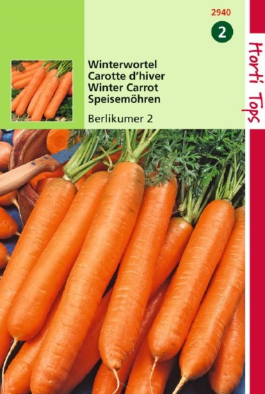 Winter carrot Berlikumer (Daucus) 6000 seeds HT